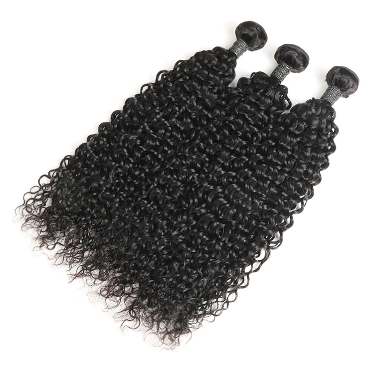 black water wave human hair bundles 2